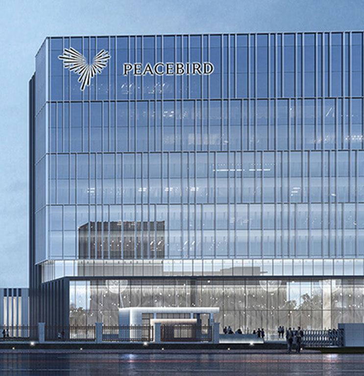 寧波太平鳥(niǎo)集團(tuán)項(xiàng)目